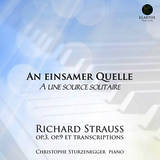 Sturzenegger Strauss