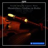 Mandolino Violino